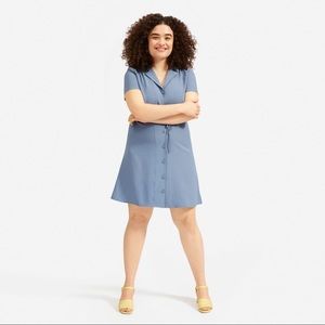 Everlane Japanese GoWeave Notched Shirtdress